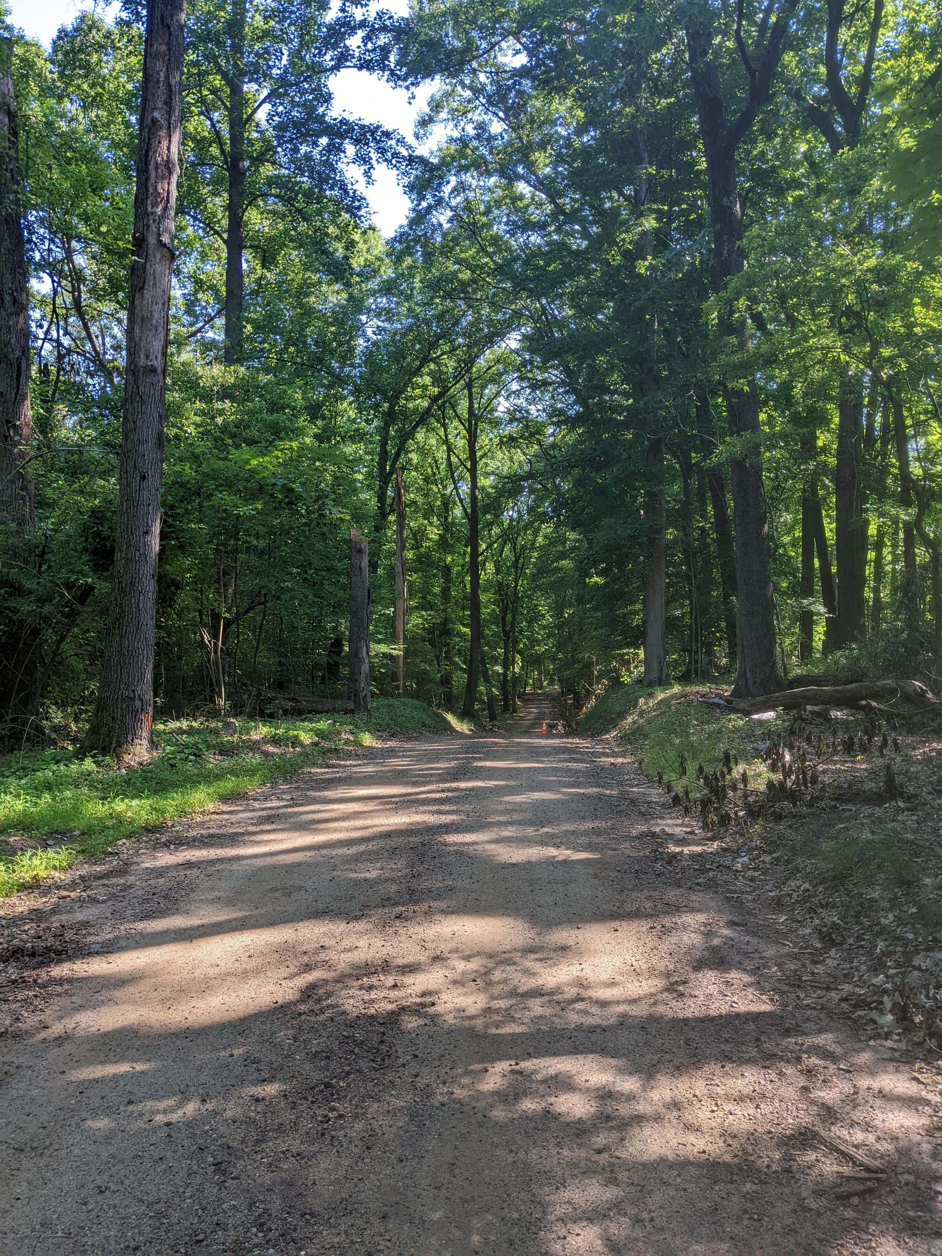 White Pine Trail Loop