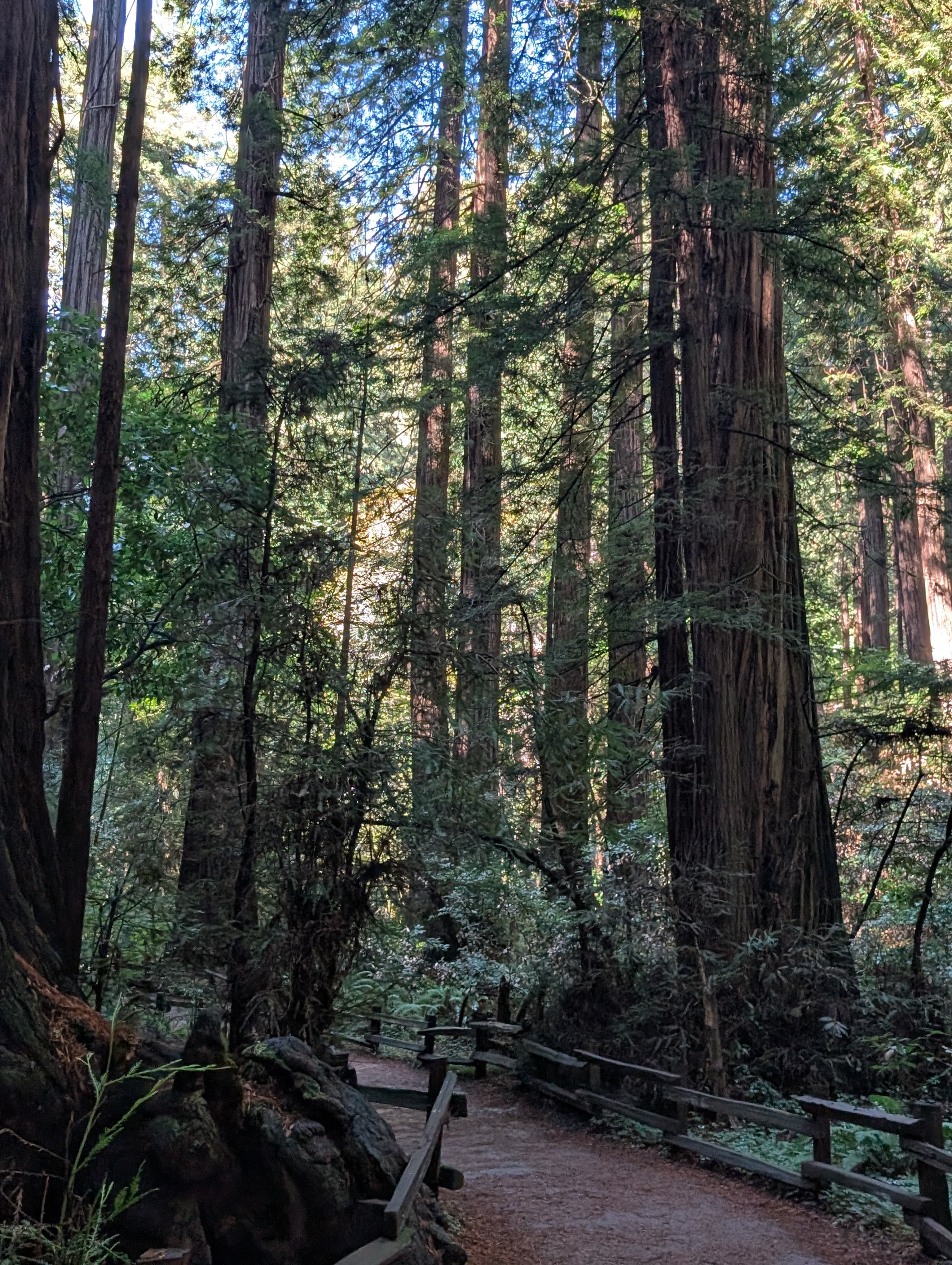 Millennium Park Circuit